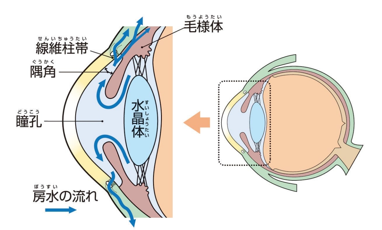 眼圧が高い状態